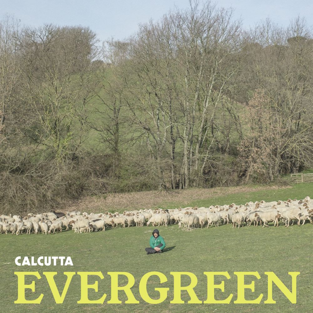 0190758499529.jpg Evergreen - immagine 1