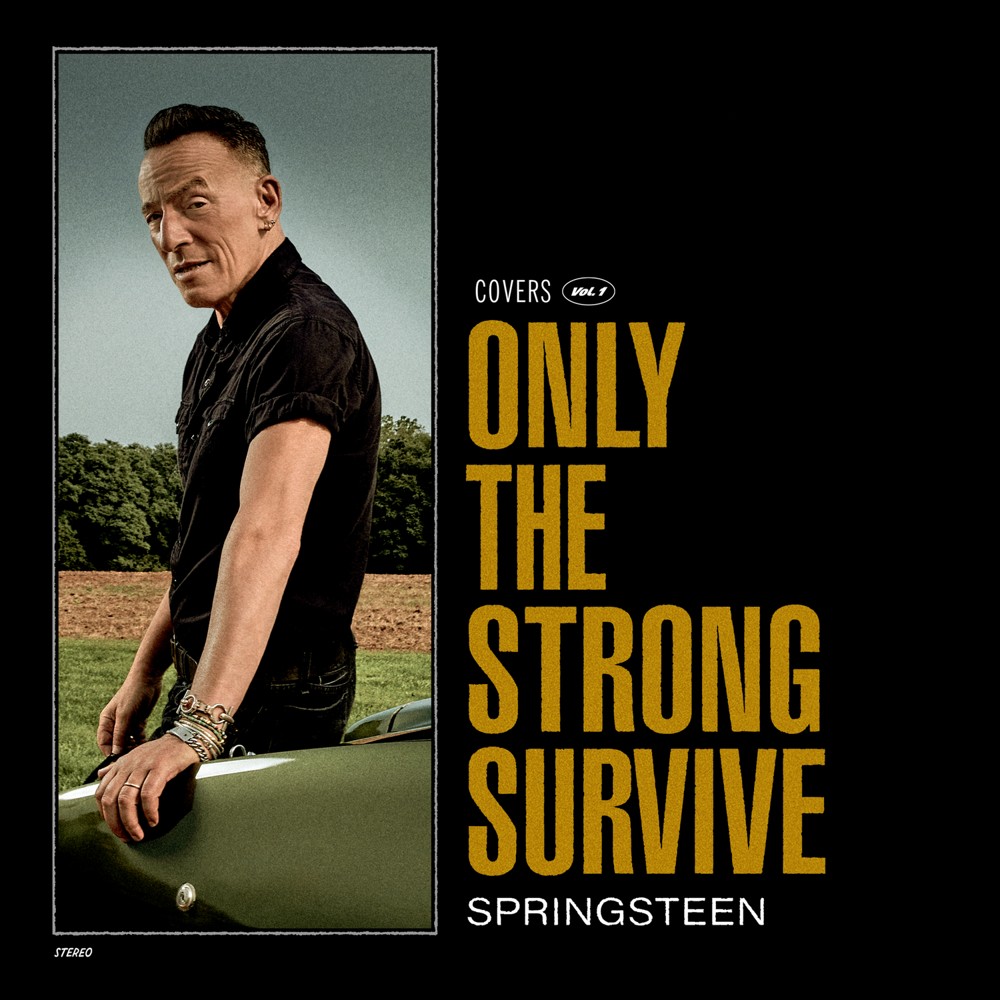 0196587453619.jpg Only The Strong Survive - immagine 1