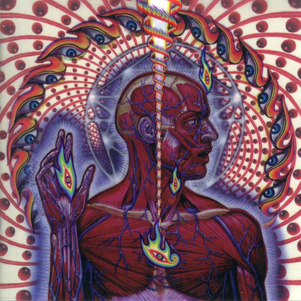 0828765364522.jpg Lateralus - immagine 1