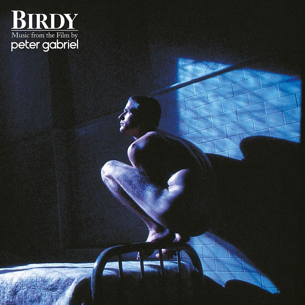 0884108005439.jpg Birdy - immagine 1