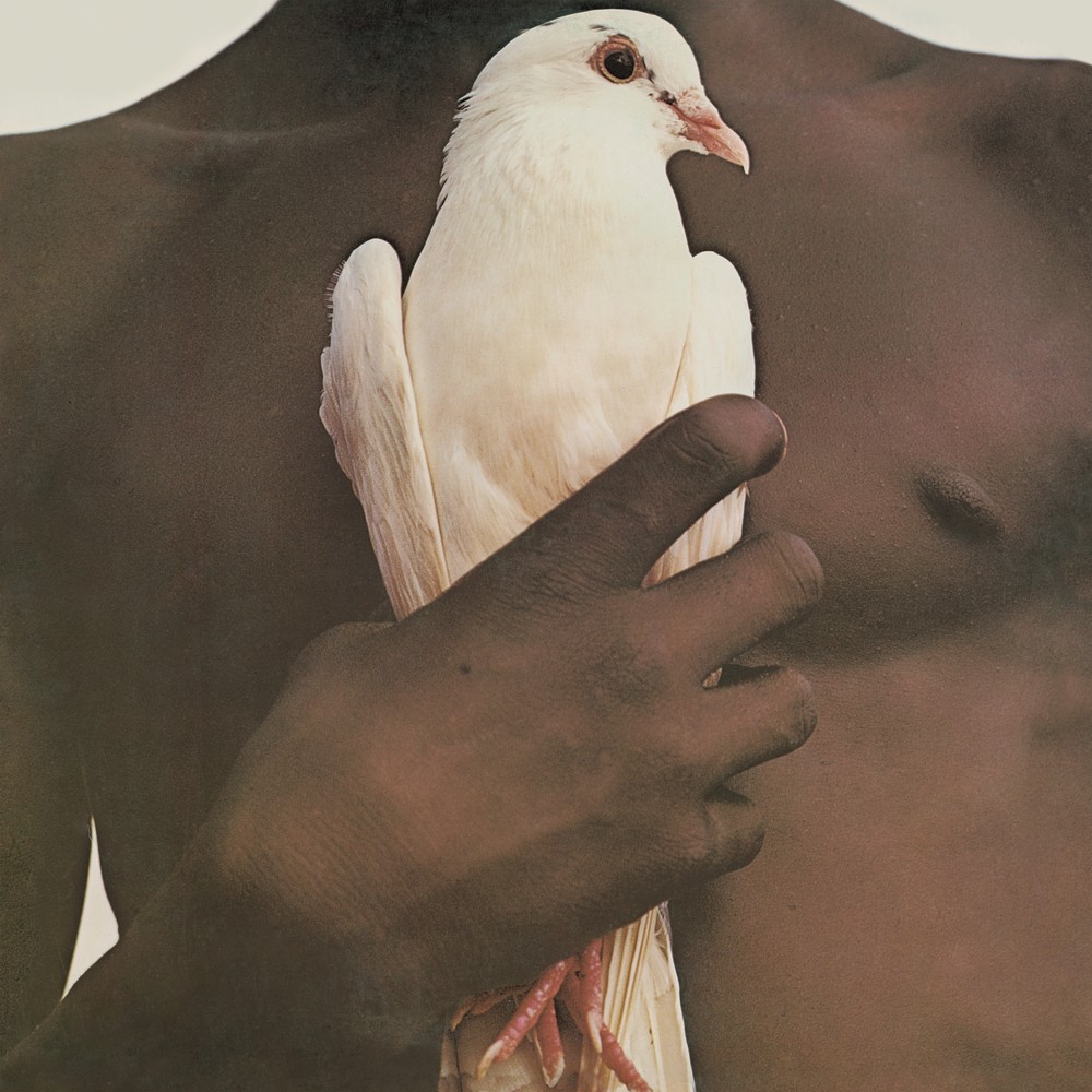0889854461515.jpg Greatest Hits (1974) - immagine 1
