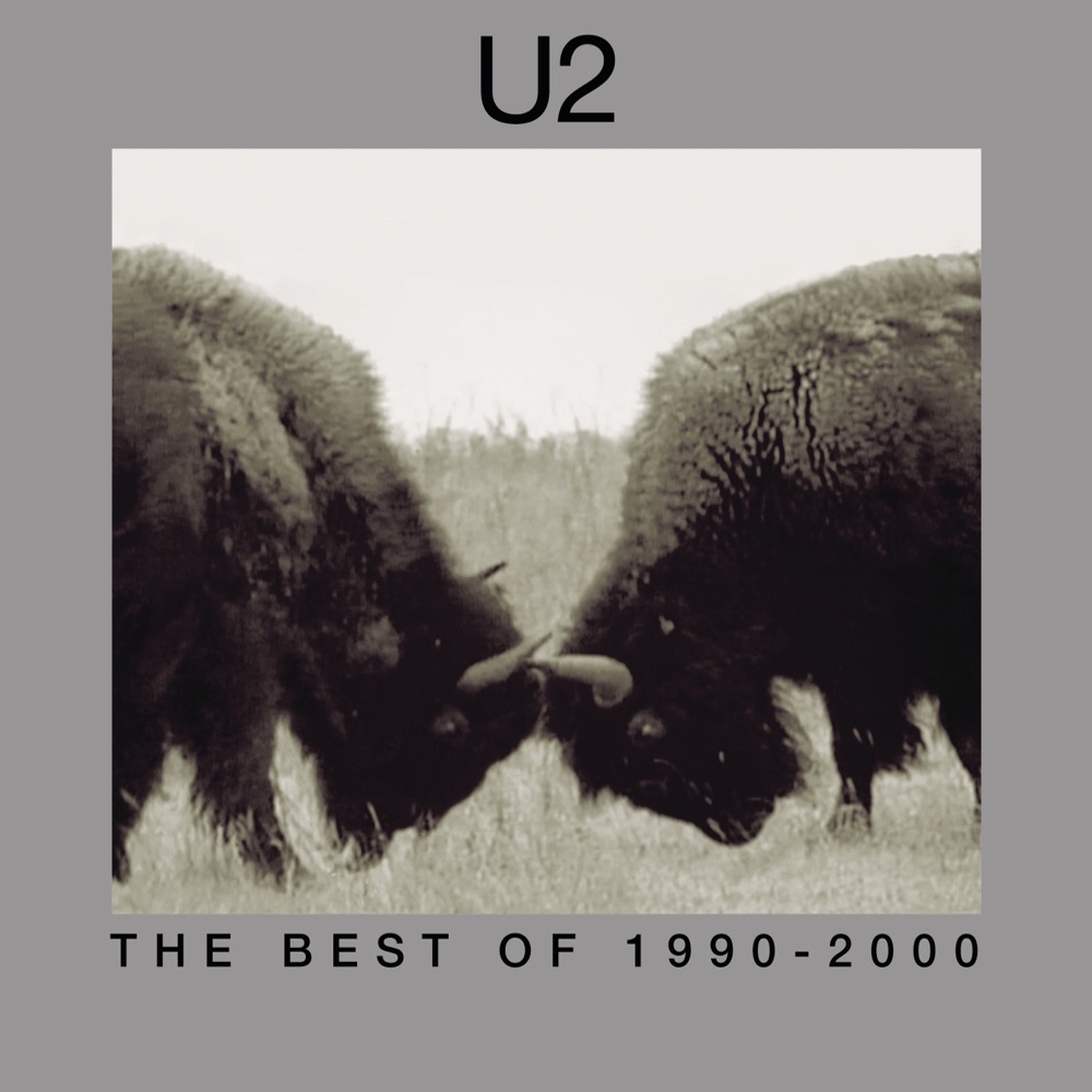 44006336121-1.jpg The Best Of 1990-2000 - immagine 1