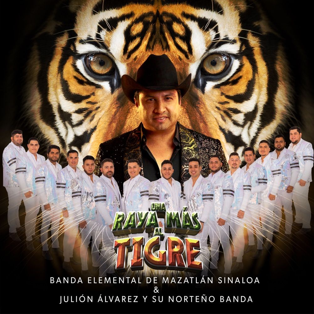 5099708934729.jpg Tigre & Dragon - immagine 1