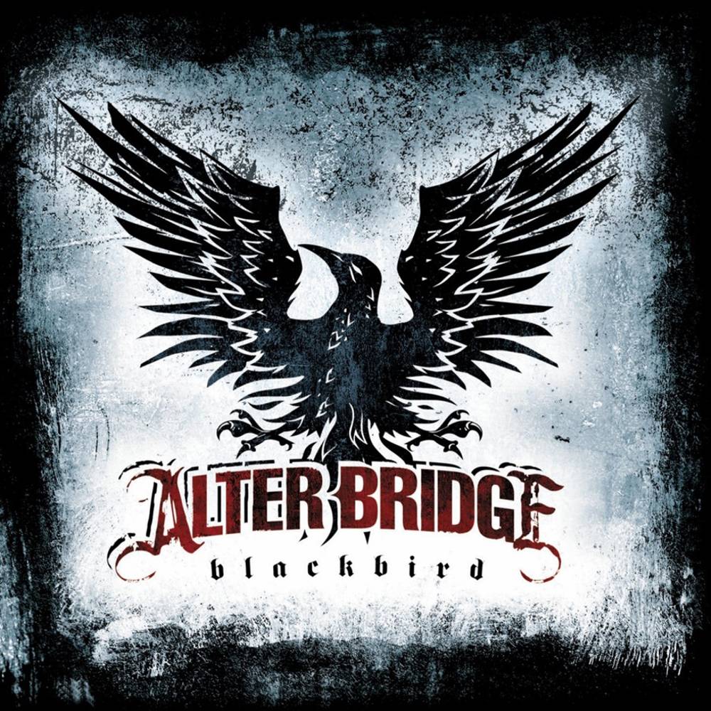 602517467484.jpg Blackbird - immagine 1