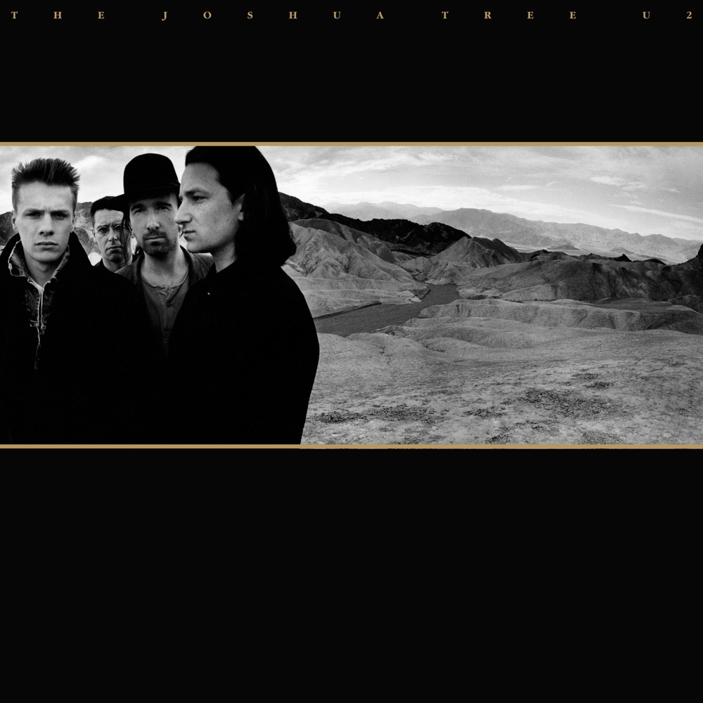 602547048943.jpg Songs Of Innocence (2cd) - immagine 1