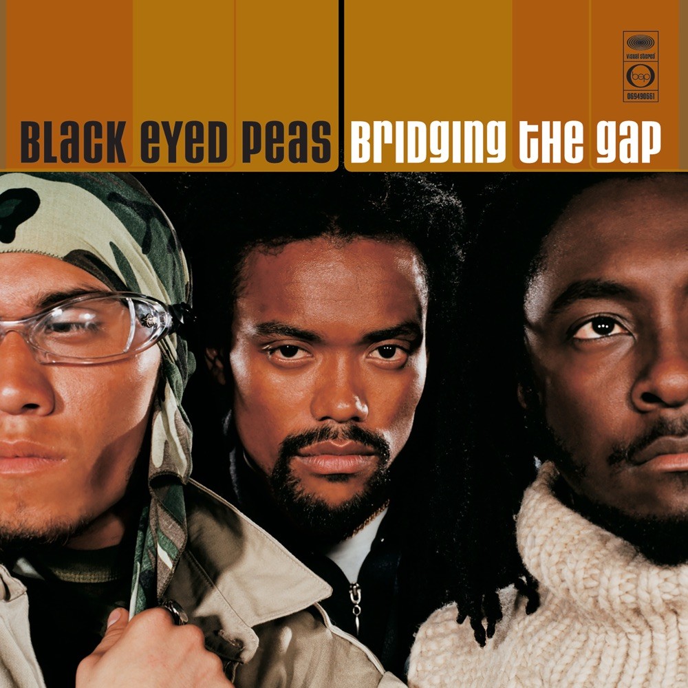 606949078621.jpg Bridging The Gap - immagine 1