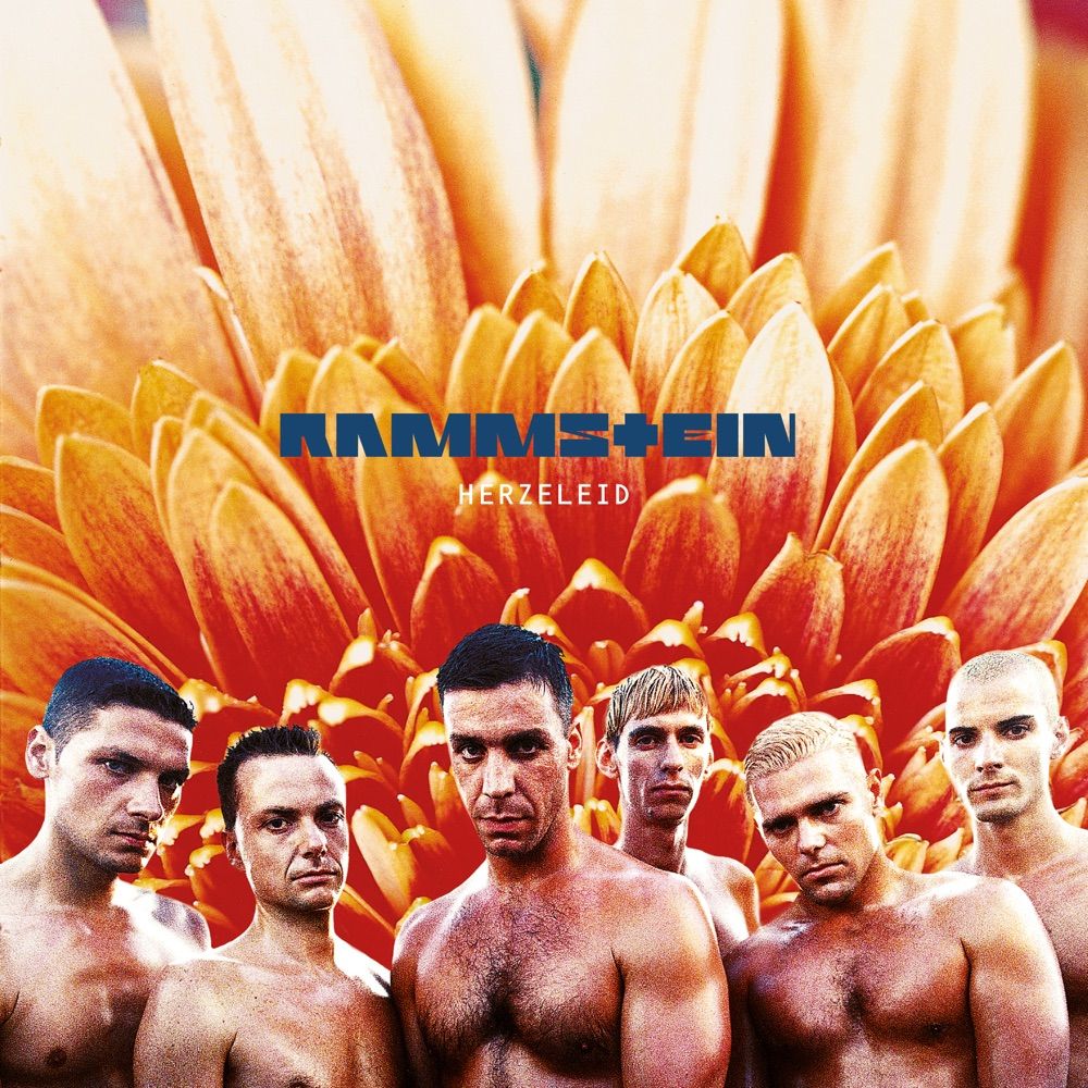 731452916020.jpg Herzeleid - immagine 1