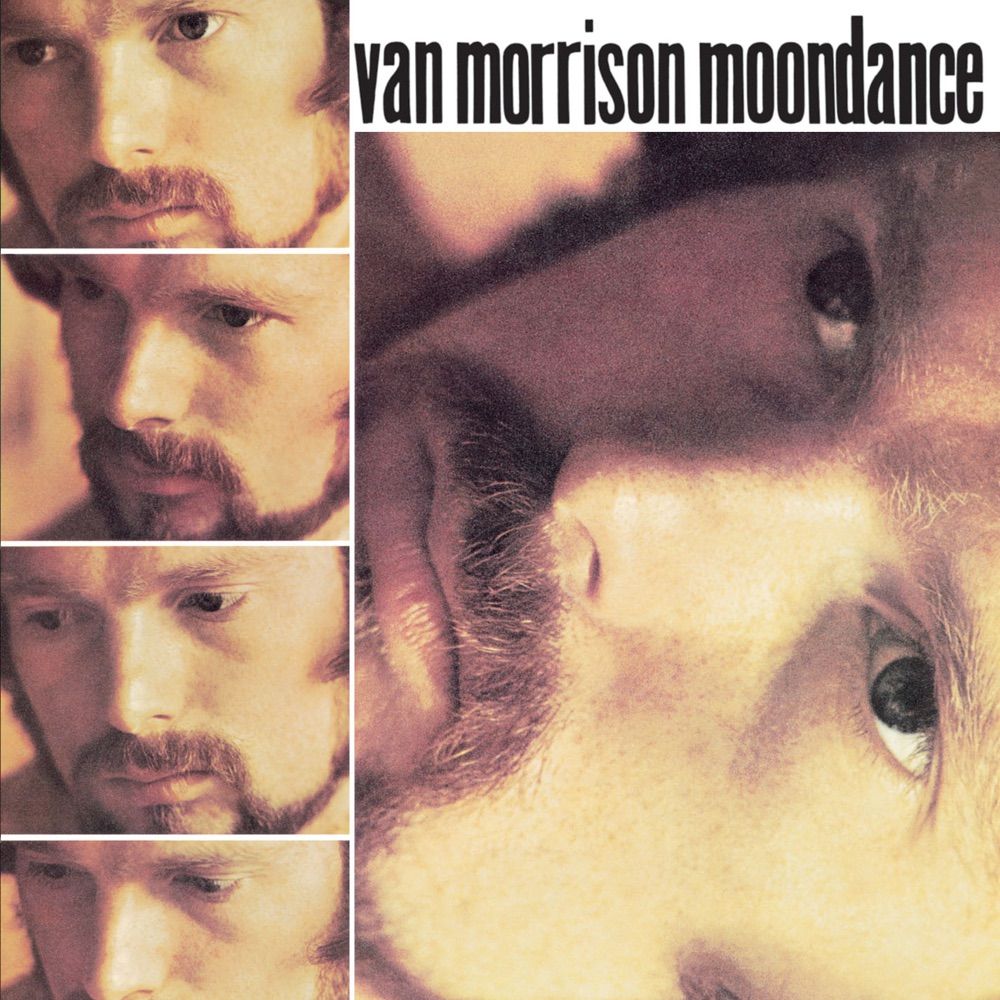 75992732628.jpg Moondance - immagine 1