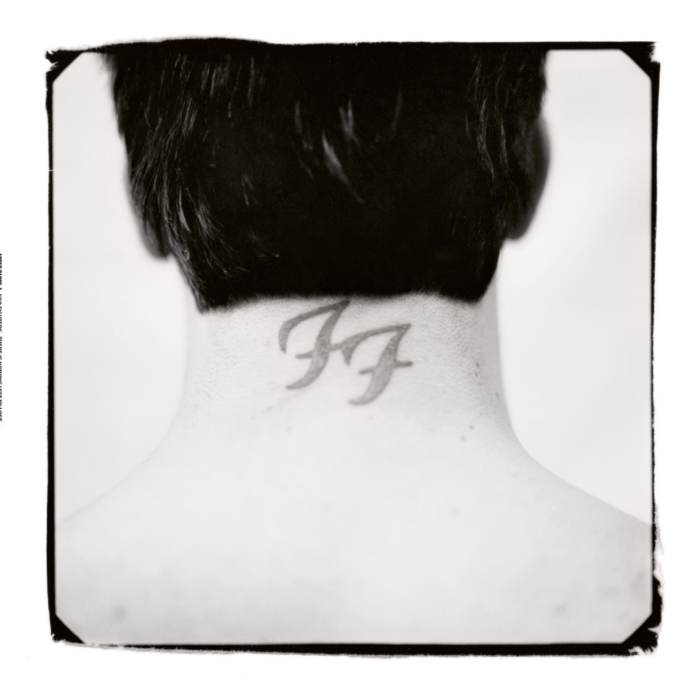78636789224.jpg There Is Nothing Left To Lose - immagine 1