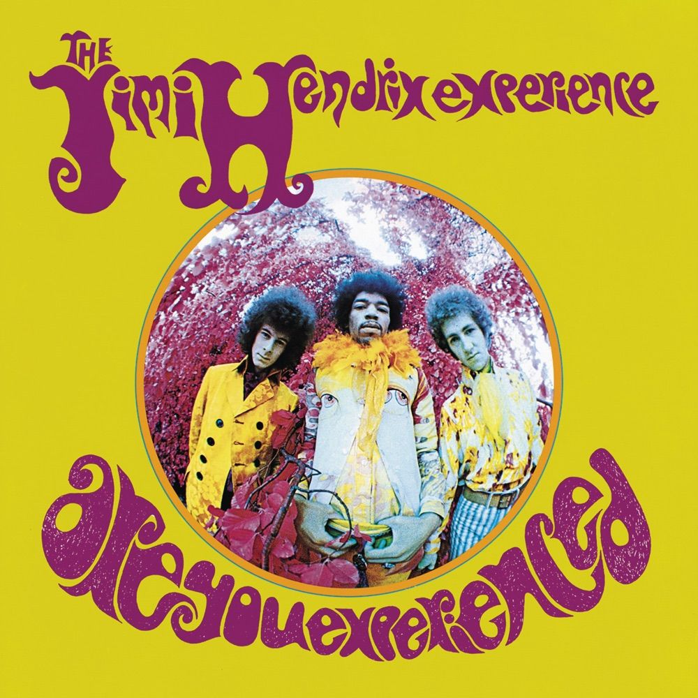886919389029.jpg Are You Experience - immagine 1